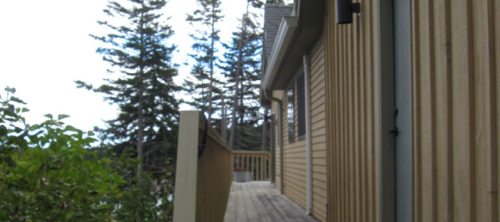 Structural Repairs & Water Damage
